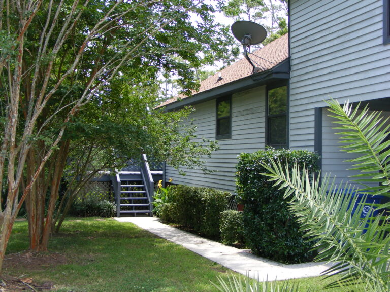 20090819 011 768x576