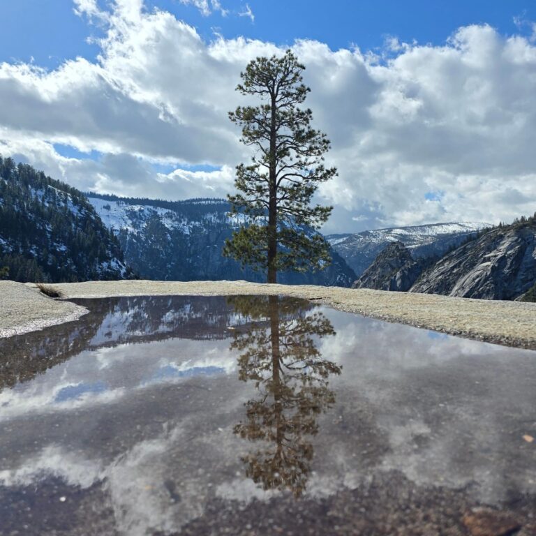 yosemitehike 768x768
